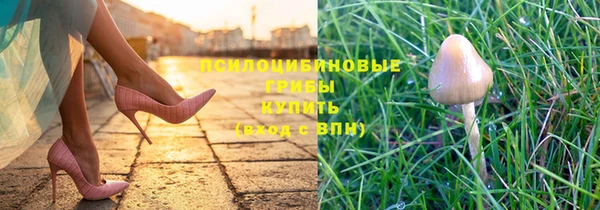 a pvp Арсеньев